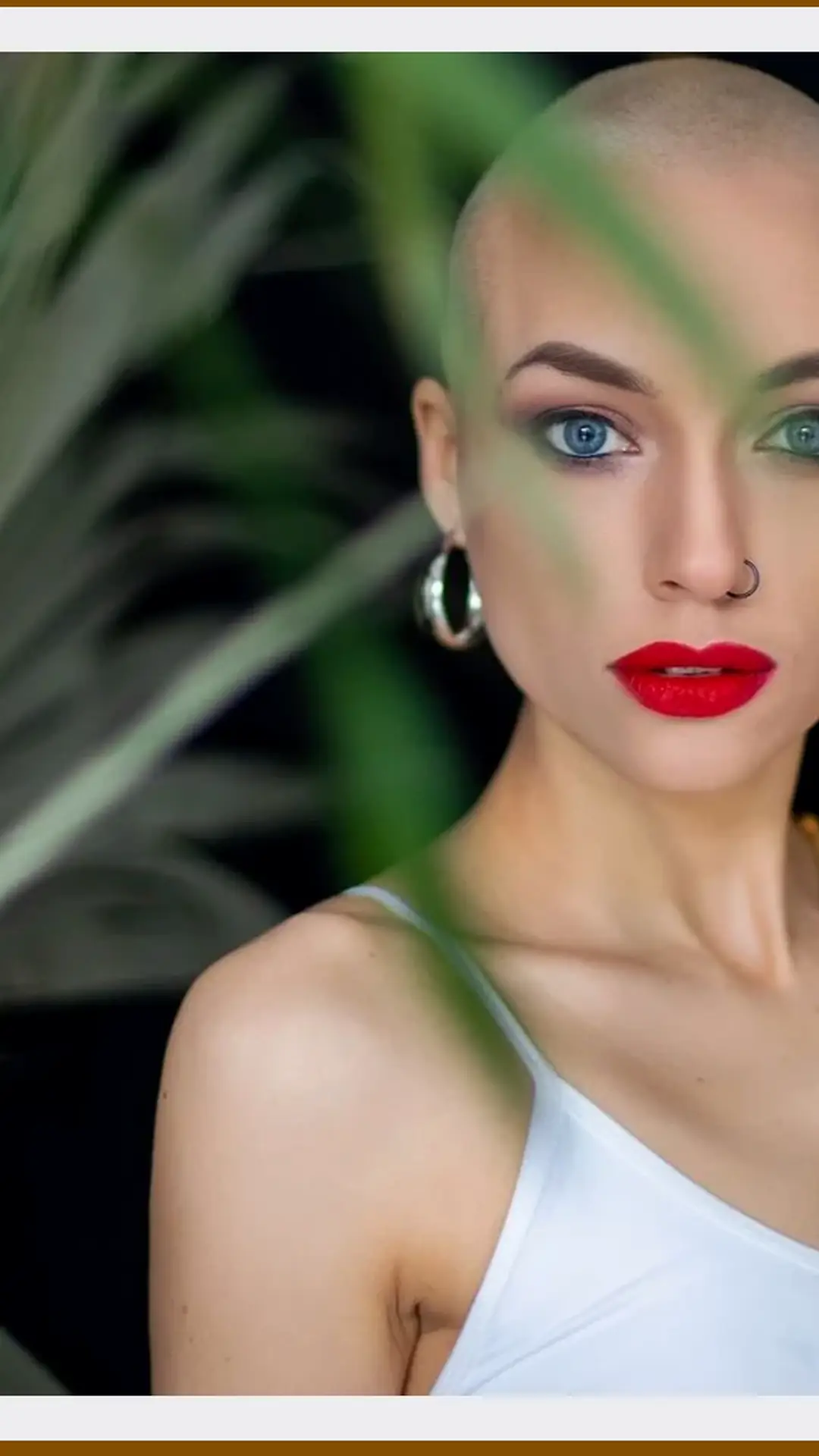 Elazığ escort makalesi için kütüphane görseli 19, esc kutuphane